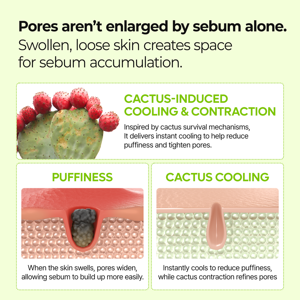 CACTOX Pore Relief Jelly Serum Mist